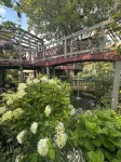 Tree house  lots birds  great location . ..... lots to do all summer long ......
