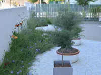 Casa Polly B&B Hotels in Grottammare