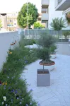 Casa Polly B&B
