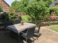 Quiet large apartment between Nemitzer Heide and Elbtalaue - Apartments
