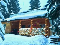 Cabin 5min to Solitude/Brighton 45-60min to Alta/Snowbird/ParkCity/DeerValley - Hytter