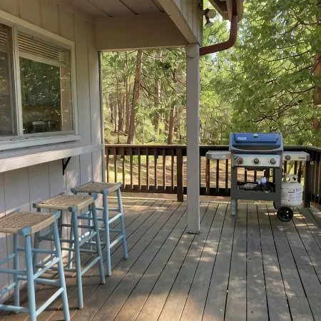 Bright and Cozy Cabin in Blue Lake Springs