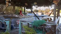 Spacious 4-Bedroom Villa, on a Lovely Waterway, with Beach and Ocean Views