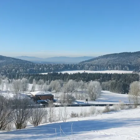 Ferienwohnung Panoramablick 2Südhanglage Mit Terrasse.Bodenmais,Arber Region
