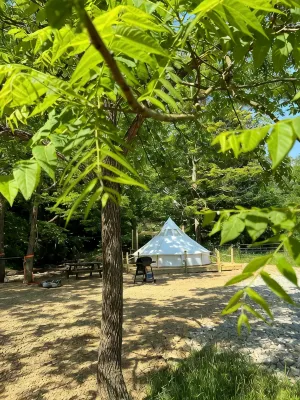 歷史悠久的勞雷爾高地經營中的農場內帆布鐘形帳篷 - 3 星級