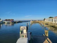 Fishermen's Catch