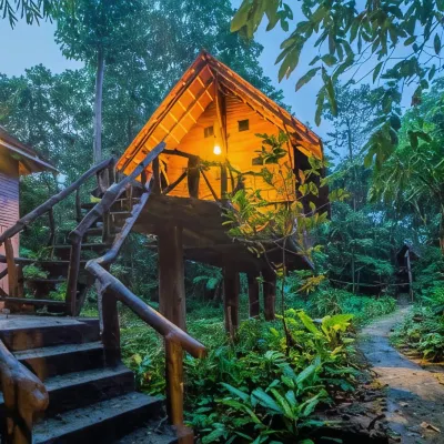 Art's Riverview Lodge Hotels near Khao Sok