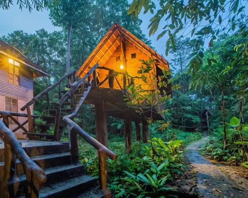 Art's Riverview Lodge Hotels in Phanom
