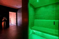 PLAZA Premium Darmstadt - spa
