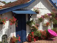 Charming house located on the shore of Lake Maubuisson, close to the ocean. Hotels in Carcans