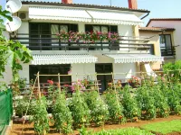 Apartments Miljenko - 2-Star