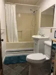 米拉米奇瀑布河畔歷史悠久的"伍迪"小屋，配有皮划艇
