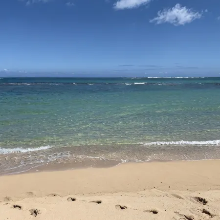 Modern Beachfront Luxury Property 4 Bed 4 Bath on Oahu’s North Shore
