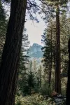 Riverfront! Pet-Friendly A-Frame Cabin - 25min to Sierra @ Tahoe - Chalets