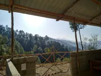 Jungle Stays