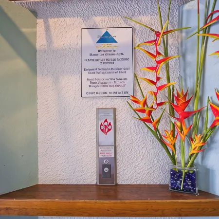 Direct Oceanfront Mauna Loa Shores #508 Next Carlsmith Beach Park