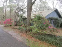 Beautiful Secluded Cottage In Old Ocean Springs Ms - Country Houses