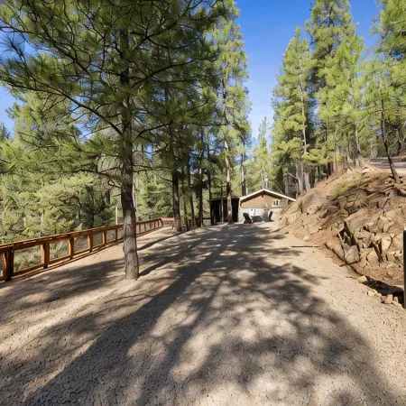 MTNSIDE Cabin with VIEWS by LYNX LAKE 20 min to TOWN