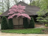 The Judges Fair Way! Beautiful 4 bedroom, 3 bath home that sleeps 13 - Kuntosalit