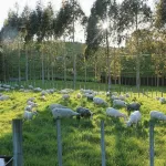 Slow Stay at Roebuck Farm - Wi-Fi