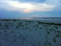 Spacious king size bed beach side and sunny - Lejligheder