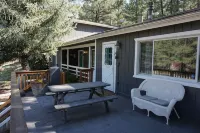 Flagstaff; Big house with Hot Tub Close to downtown, Secluded in the cool pines. - Balkon
