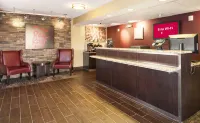 Red Roof Inn Detroit - Royal Oak/ Madison Heights - parking