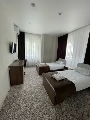 Suvar Mini hotel - 2星級
