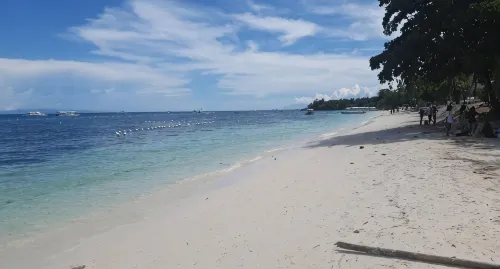 Alona Beach Poolside Hotel Panglao - pet friendly