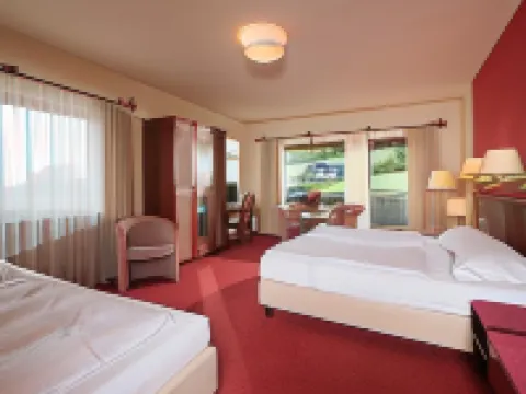 Sauerland Alpin Hotel Hoteles en Schmallenberg