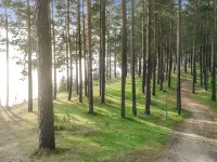 Hiukanhelmi - 民泊