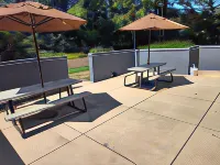 Spark by Hilton Stevensville