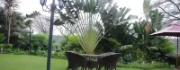 Sherbourne Hotel Hotels near Nkana Canyon