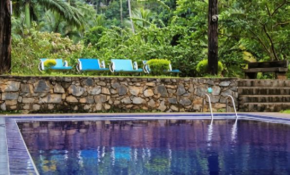 Sweet Cinnamon Kandy - Housity