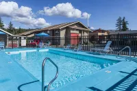 Coachman Inn - Pools