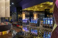 Elexus Hotel Resort & Spa & Casino - bar