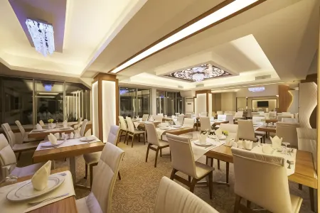 Soyic Hotel Отели в г. Эскишехир