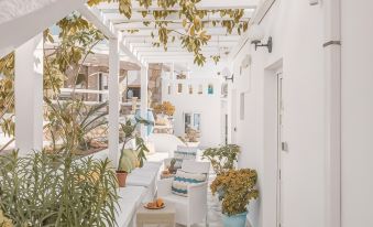 Dibellee Mykonos Studios