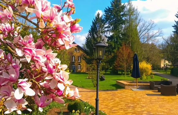 人生活力度假區酒店