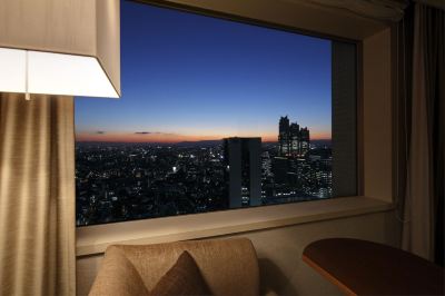 ホテルからの眺望 小田急ホテルセンチュリーサザンタワーの写真