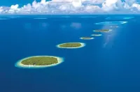 Elite Beach Inn Các khách sạn gần Sheraton Full Moon Island