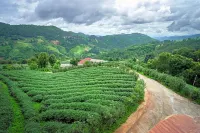 101 Tea Green View - 2-Star