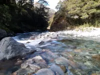 Birdsong Cottage - nestled up against Mt Aspiring National Park with Spa