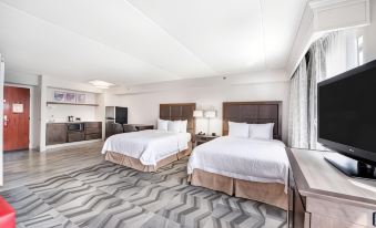 Hampton Inn & Suites Atlanta-Galleria