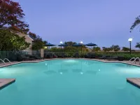 Addison Suites Hotel Hotels in Addison