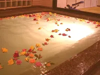 ホテル雄山 千曲のホテル