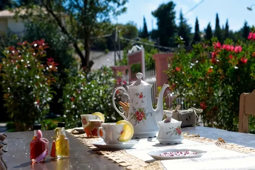 Exanthia Villas - Pet friendly