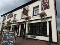 Star Inn Hotel - bar