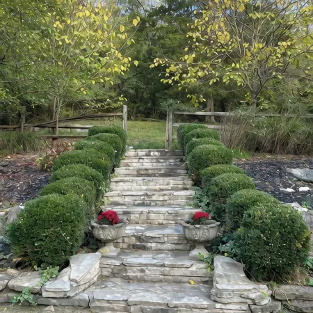Between Ark & Creation Museum: A Nature-Rich Escape with Breathtaking Views
