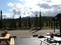 White Moose Lodge Hotels in Denali